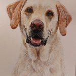 Painting of a golden retriever