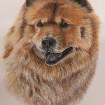 Painting of a chow chow dog