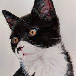 Painting of a black and white cat