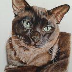 Painting of a siamese cat