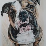 Painting of an english bulldog