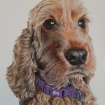 Painting of a cocker spaniel puppy