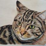 Painting of a tabby cat